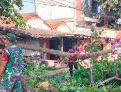 Respons Cepat, Danramil Indramayu Pimpin Pembersihan Pohon Tumbang di Jalan Ir. H. Juanda