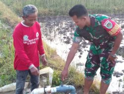 Babinsa Sukagumiwang Dampingi Petani Cibeber, Pastikan Persiapan Musim Tanam Berjalan Lancar