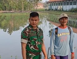 Babinsa Koramil 1605 Sukagumiwang Intensif Dampingi Petani, Pastikan Kesiapan Lahan Sawah di Desa Gedangan