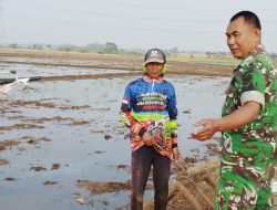Koramil 1605/Sukagumiwang Dampingi Petani Gunungsari, Pastikan Pengairan Sawah Lancar