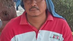 Debu Proyek Pertamina Diduga Picu Gagal Panen Mangga, Pemilik Kebun Tuntut Ganti Rugi