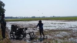 Monitoring Pendampingan Olah Lahan Pertanian di Desa Tenajar Lor