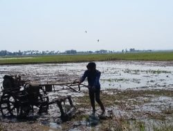 Monitoring Pendampingan Olah Lahan Pertanian di Desa Tenajar Lor