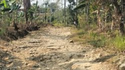 Infrastruktur Jalan Kabupaten Sukabumi Penghubung Tanjungsari–Bojongtipar Masih Rusak, Warga Minta Perbaikan Menyeluruh
