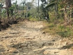 Infrastruktur Jalan Kabupaten Sukabumi Penghubung Tanjungsari–Bojongtipar Masih Rusak, Warga Minta Perbaikan Menyeluruh