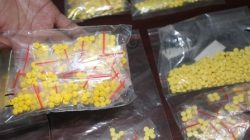 Warga Lombang Resah, Dugaan Peredaran Tramadol Disorot: Pemdes Desak Aparat Bertindak
