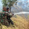 Lahan Hutan 5 Hektare Terbakar di Blok Cipondoh Indramayu, TNI dan Perhutani Bergerak Cepat Jinakkan Api