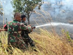 Lahan Hutan 5 Hektare Terbakar di Blok Cipondoh Indramayu, TNI dan Perhutani Bergerak Cepat Jinakkan Api