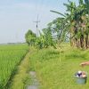 Monitoring Sawah Sukagumiwang, Pendampingan Petani Diperkuat Jelang Musim Tanam