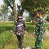 Babinsa Dampingi Petani Manguntara, Pastikan Tanaman Padi Terawat Jelang Masa Panen