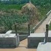 Puluhan Hektare Sawah Banaran Terancam Gagal Panen, Petani Soroti Dugaan Limbah Cucian Pasir