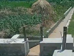 Puluhan Hektare Sawah Banaran Terancam Gagal Panen, Petani Soroti Dugaan Limbah Cucian Pasir