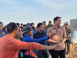 Bupati Lucky Hakim Tinjau Rehabilitasi Jembatan Jatimulya, Akses Panen Petani Kembali Terbuka