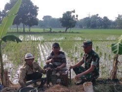 Monitoring Pertanian di Tenajar Kidul, Pendampingan Petani Diperkuat Jelang Musim Tanam
