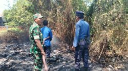 Diduga Berawal dari Pembakaran Sampah, Ilalang dan Semak Belukar di Karanganyar Indramayu Terbakar