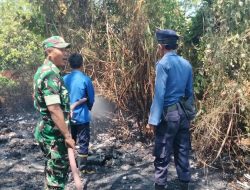 Diduga Berawal dari Pembakaran Sampah, Ilalang dan Semak Belukar di Karanganyar Indramayu Terbakar