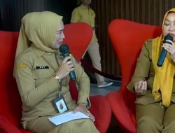 Hareudang Fest 2026 Siap Gebrak Karawang, Ade Astrid Bakal Jadi Magnet Pengunjung!
