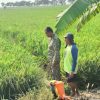 Dukung Produktivitas Pertanian, Babinsa Pantau Kesiapan Lahan dan Irigasi di Gunungsari