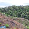 UU Pengaturan Reforma Agraria Buka Jalan Pemulihan Hak Masyarakat dalam Konflik Pertanahan