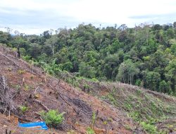 UU Pengaturan Reforma Agraria Buka Jalan Pemulihan Hak Masyarakat dalam Konflik Pertanahan