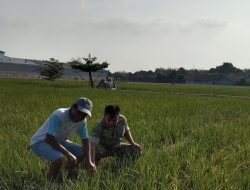 Pastikan Kesiapan Lahan dan Pengairan, Monitoring Pertanian di Desa Kliwed Berjalan Lancar